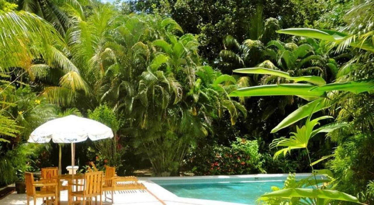 Hotel Roca Verde Beachfront Puntarenas Exterior foto